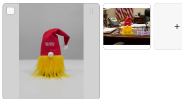 Trump Gnome