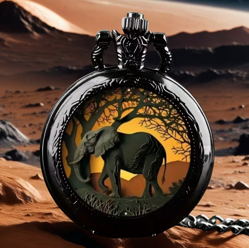 Pocket Watch / Necklace / Jewelry