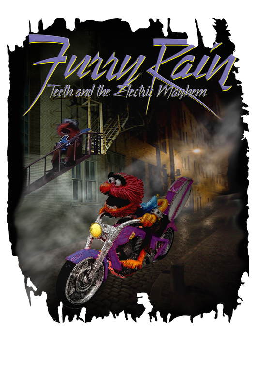 Furry Rain Vintage Style T-Shirt